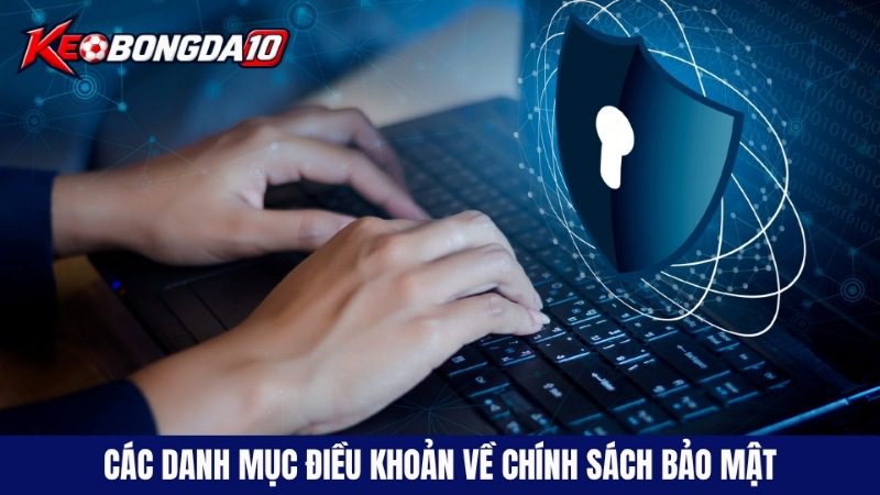 cac danh muc dieu khoan ve chinh sach bao mat Danh mục điều khoản nổi bật về an toàn của chính sách bảo mật