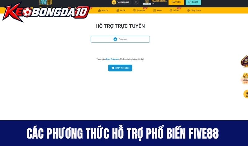 lien he five88 Các phương thức hỗ trợ phổ biến tại Five88