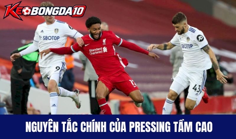 nguyen tac pressing tam cao