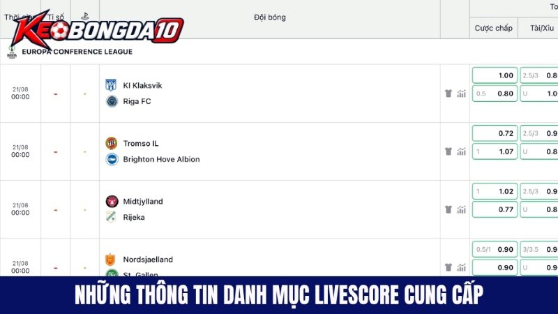 nhung thong tin danh muc livescore cung cap Danh mục livescore sẽ cung cấp các thông tin bóng đá gì?