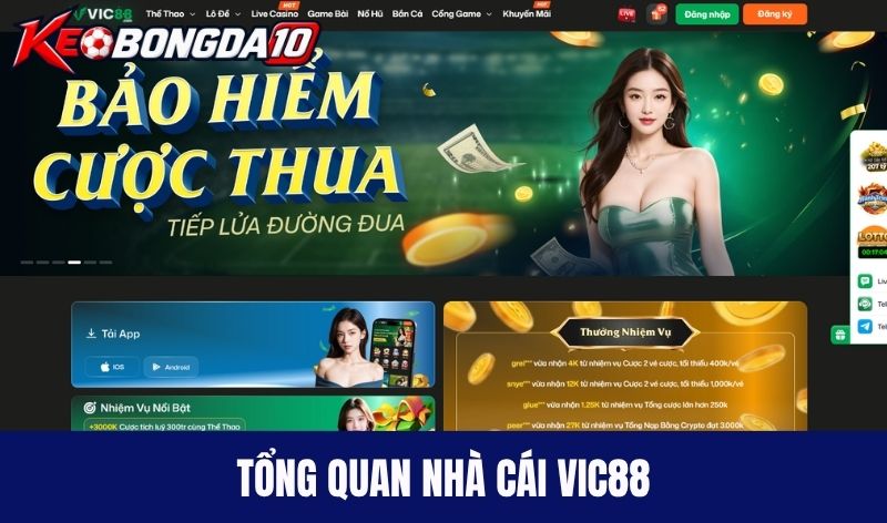tong quan vic88 Tổng quan nhà cái Vic88 mới nhất 2026