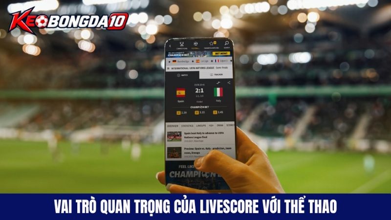 vai tro quan trong cua livescore voi dau tu the thao Vai trò quan trọng của livescore đối với giới đầu tư thể thao