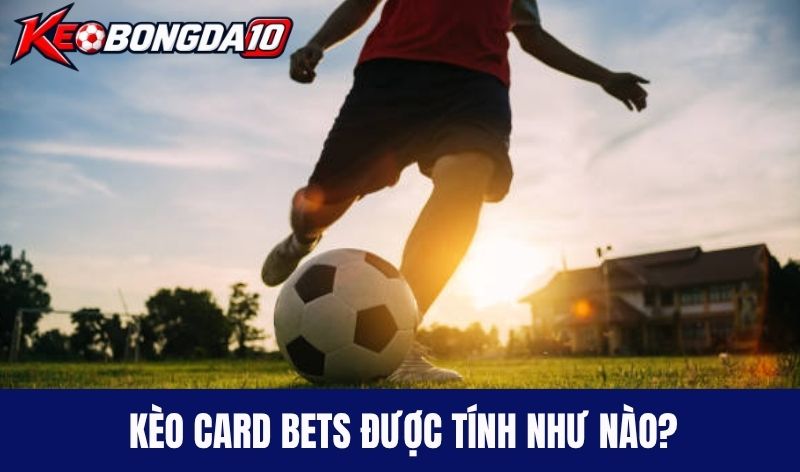 cach tinh keo the phat Kèo Card Bets được tính như nào?
