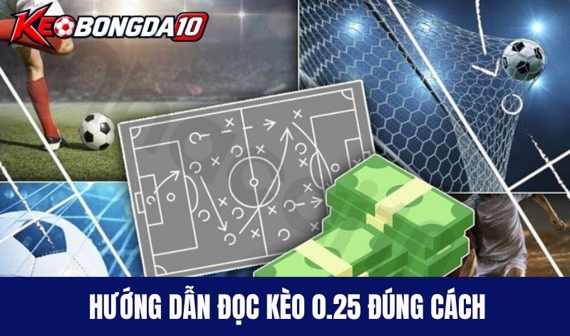 doc keo chap dong banh nua trai Hướng dẫn đọc kèo 0.25 đúng cách