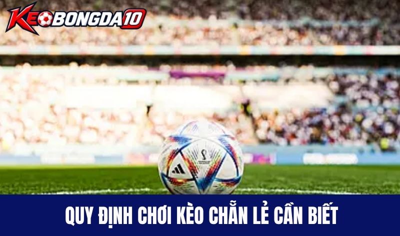 quy dinh choi keo chan le Cao thủ bật mí cách cược Odd/Even hiệu quả
