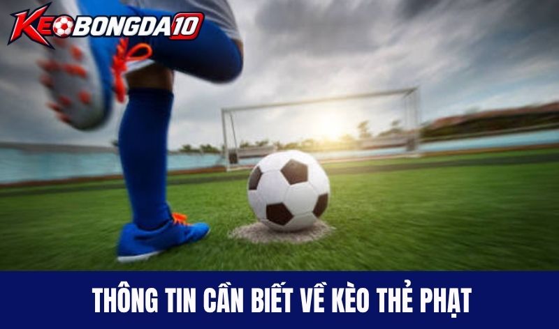 thong tin keo the phat Thông tin cần biết về kèo thẻ phạt
