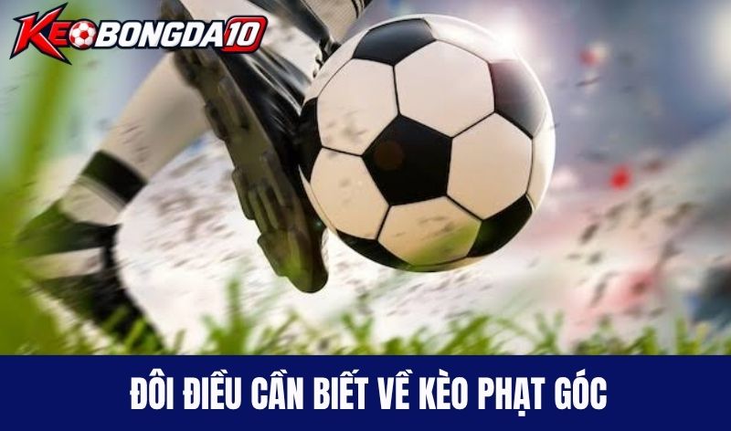 Chơi Half Time/Full Time hiệu quả, phải làm gì?