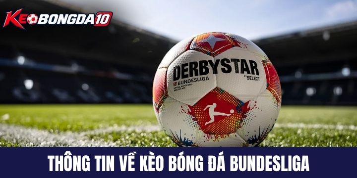 vai net keo bong da bundesliga Vài nét về kèo bóng đá Bundesliga